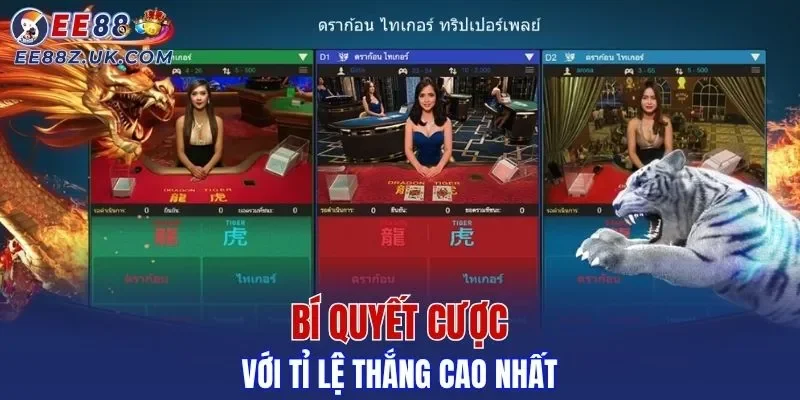 Bí quyết cược với tỉ lệ thắng cao nhất
